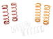 Speed Tune Front Spring Set for Axial 1/10 Yeti Rock Racer