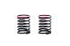 RIDE M-Chassis Pro Matched Springs (2) Red-Soft
