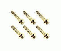 Square R/C M3 x 14mm Stainless Steel Button Head Hex Screws, Gold Plated 6 pcs.