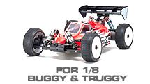 1/8 RC Buggy & Truggy Options