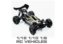 1/6, 1/10 & 1/12 Off-Road RTR & Parts