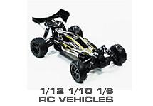 1/6, 1/10 & 1/12 Off-Road RTR & Parts